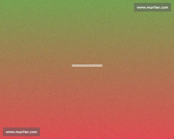 国安击败西海岸追平申花登顶，争冠形势白热化