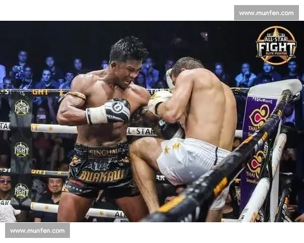 播求对阵方便巅峰对决全程回放解析泰拳与散打之战技术细节深度拆解